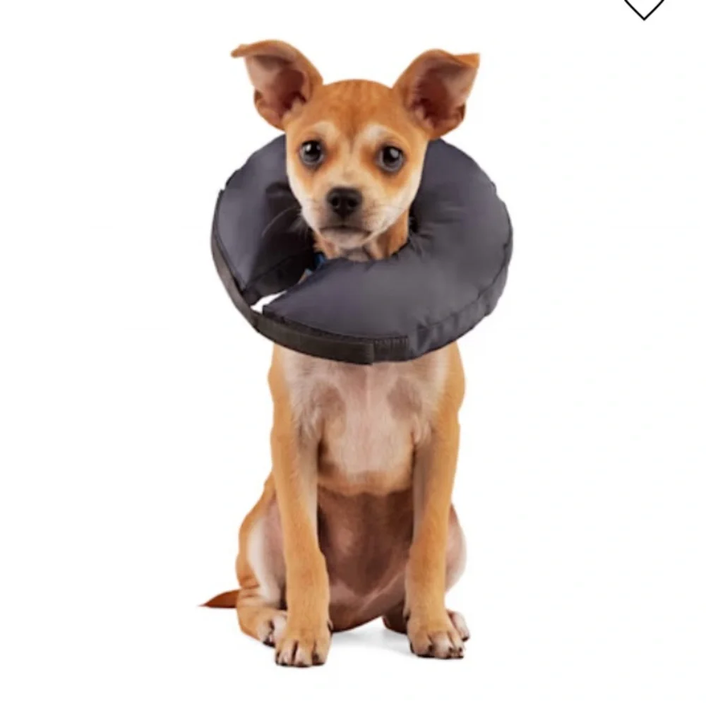 Soft filled Recovery Pet Collar. 8” wide.